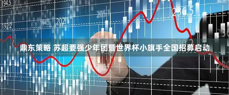鼎东策略 苏超要强少年团暨世界杯小旗手全国招募启动